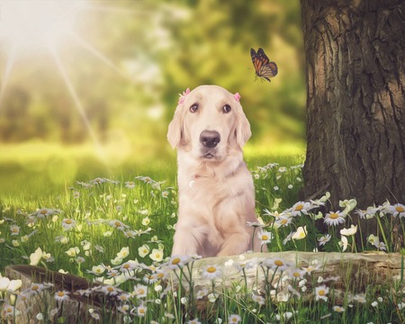 Entry image for BRAYLEIGH . Clicking this image will show a larger photo