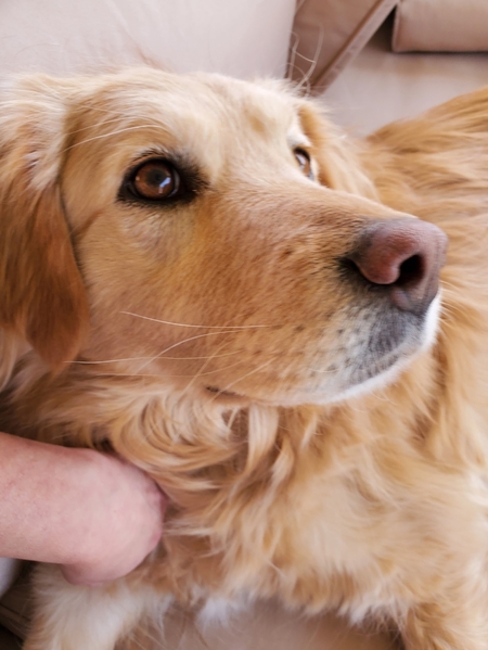 Entry image for Chance . Clicking this image will show a larger photo