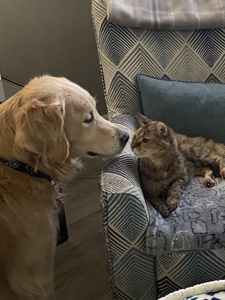 Entry image for River. Clicking this image will show a larger photo