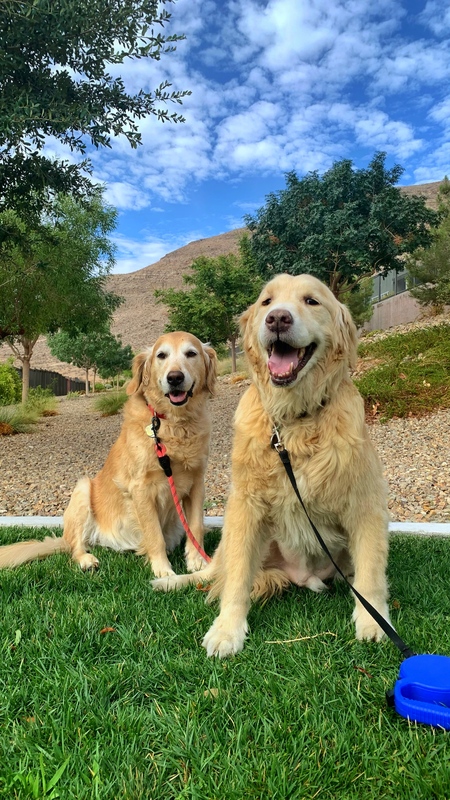 Entry image for Grace and Leo. Clicking this image will show a larger photo