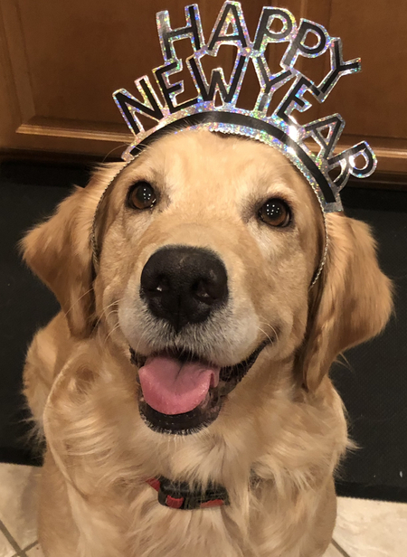 Entry image for Scarlett. Clicking this image will show a larger photo