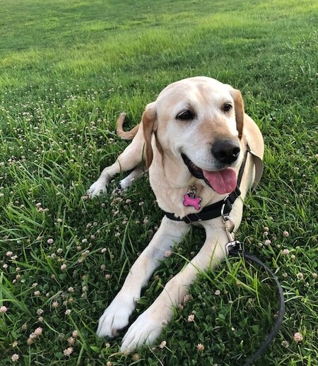 Entry image for Hope. Clicking this image will show a larger photo