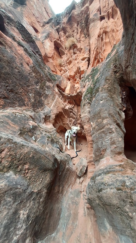 Entry image for Summit. Clicking this image will show a larger photo