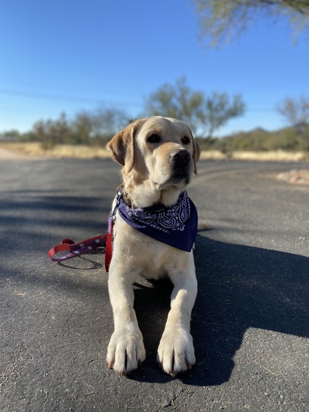 Entry image for Eli. Clicking this image will show a larger photo