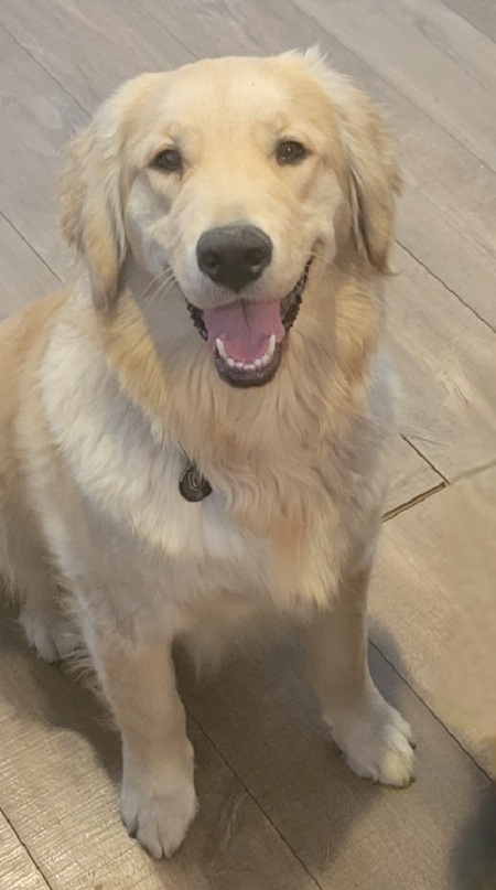 Entry image for Brooks. Clicking this image will show a larger photo