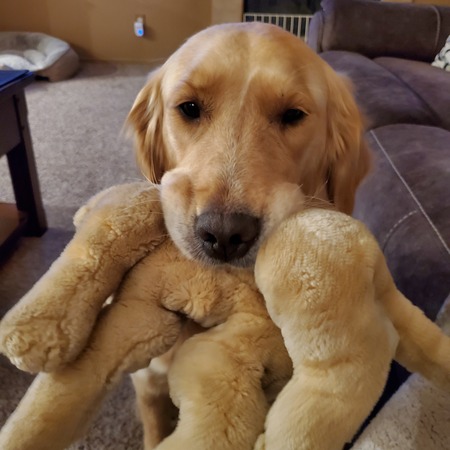 Entry image for Julia aka Juju. Clicking this image will show a larger photo