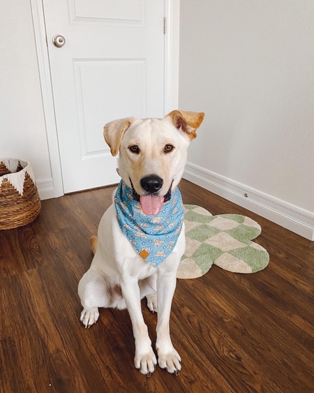 Entry image for Kylo fka Muligan. Clicking this image will show a larger photo