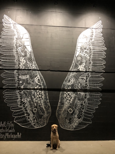 Entry image for Paddy O’Murphy. Clicking this image will show a larger photo