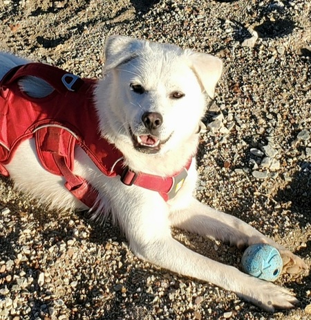 Entry image for Caycie. Clicking this image will show a larger photo