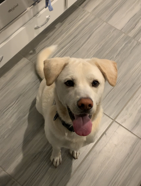 Entry image for Marky . Clicking this image will show a larger photo