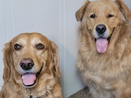 Entry image for Lili and Badger. Clicking this image will show a larger photo