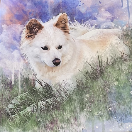 Entry image for Lilah . Clicking this image will show a larger photo