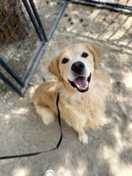 Entry image for Riley. Clicking this image will show a larger photo