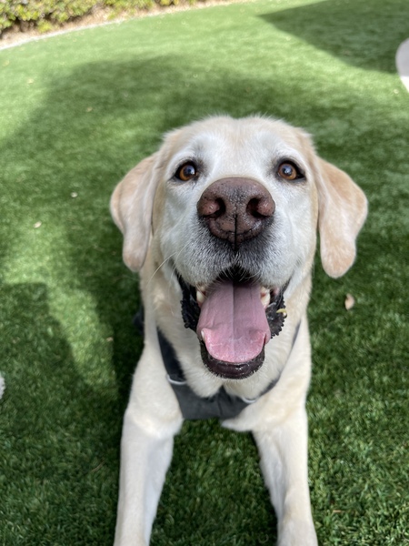 Entry image for Jake . Clicking this image will show a larger photo