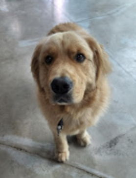 Entry image for Chance Pierce . Clicking this image will show a larger photo