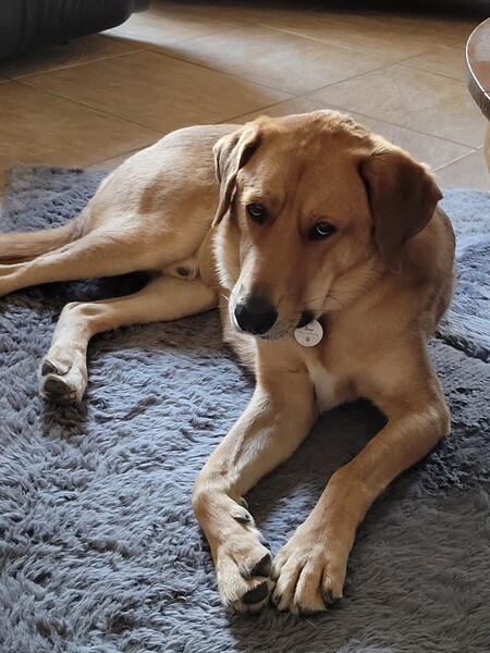 Entry image for Jesse. Clicking this image will show a larger photo