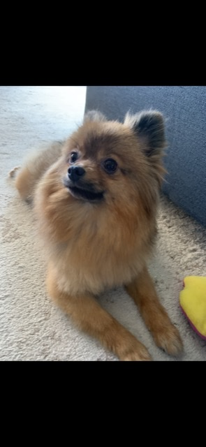 Entry image for Missy. Clicking this image will show a larger photo