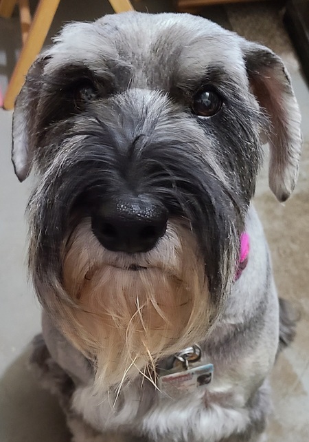 Gretchen