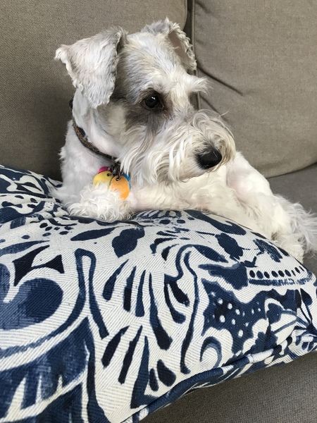 Mia Bella 
