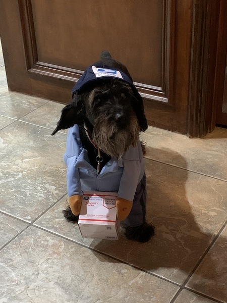 Roux (formally known as Rhonda)