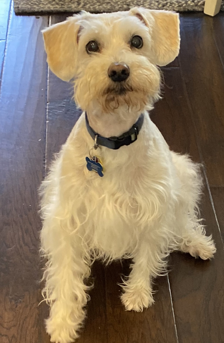 Hurley