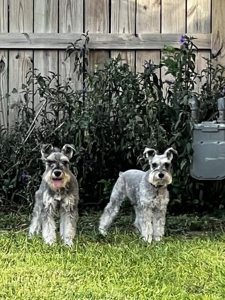 Kaiser & Klaus 
