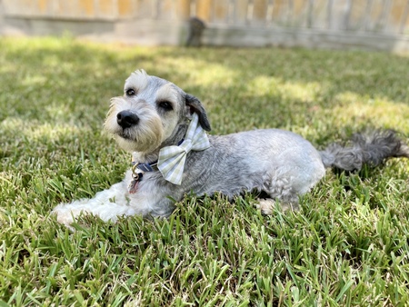 Finley