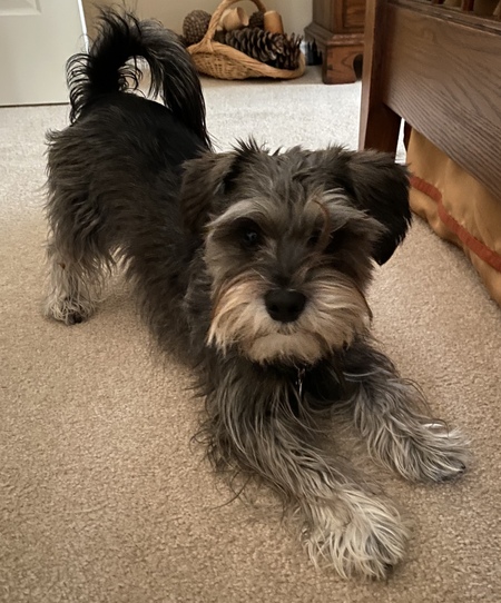 Murphy 