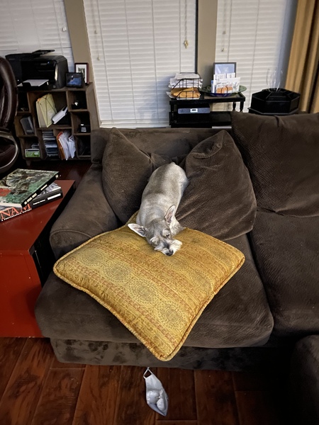 Walter