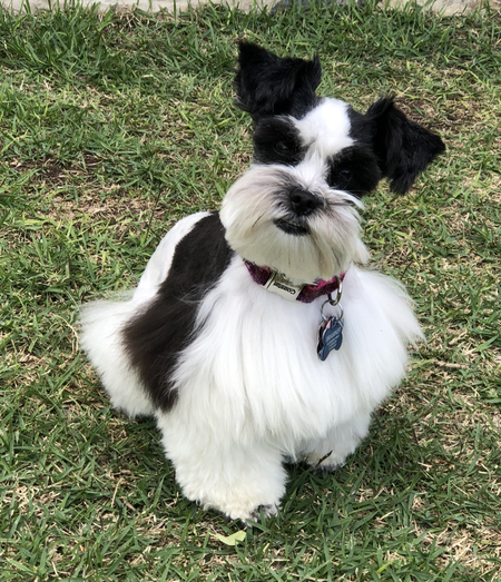 Maudie May