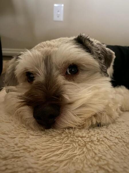 Jack