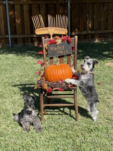 Mattie & Bella