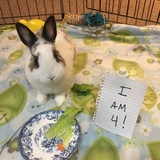 Entry image for Hopper