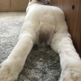 Entry image for Nimmie