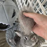 Entry image for Edward