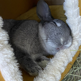 Entry image for Edward