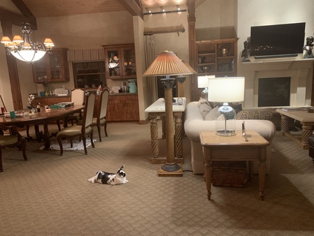 Entry image for Koa. Clicking this image will show a larger photo