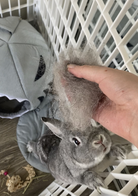 Entry image for Edward. Clicking this image will show a larger photo