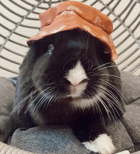 Entry image for Flower. Clicking this image will show a larger photo