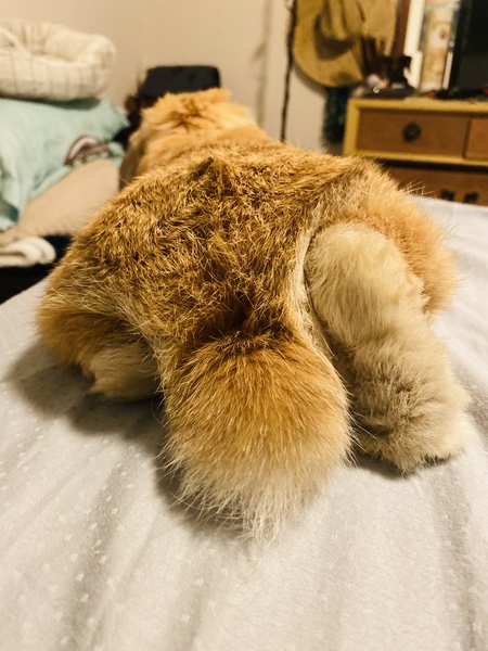 Entry image for Toast. Clicking this image will show a larger photo