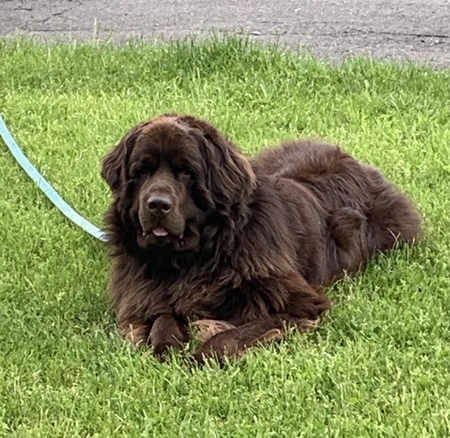 Apollo 