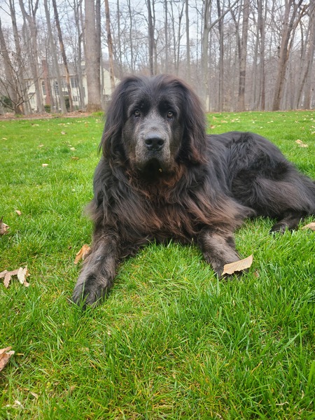 Winnie