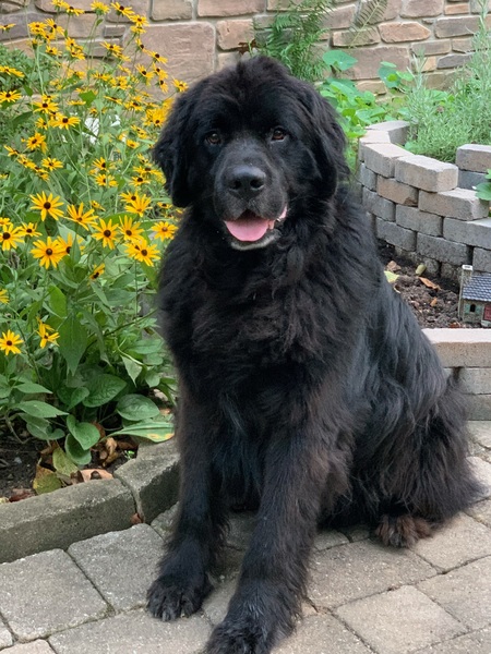 Tucker
