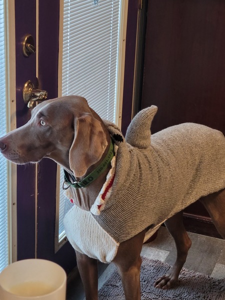 Milo
