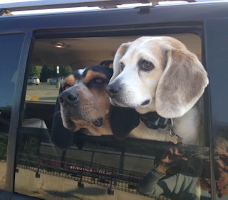 Charlotte and Rocky