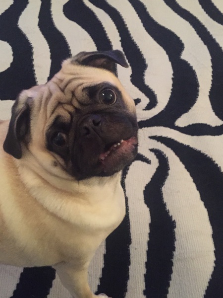 Wrinkles