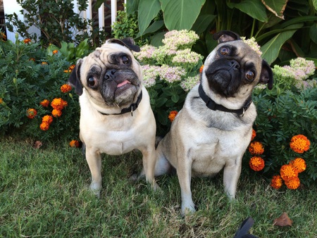 Kloe & Zoe