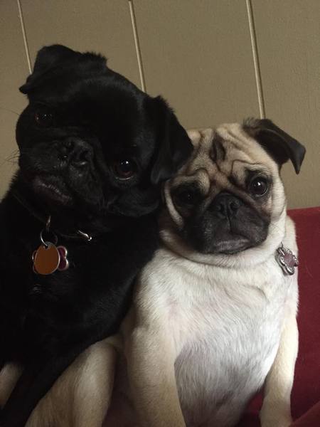 Minnie & Bella