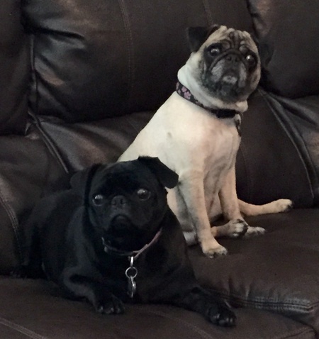  Lizzie & Chloe