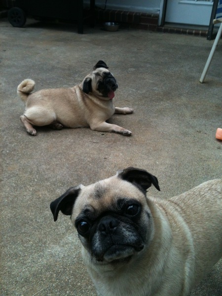 May & Mabel Valentin 